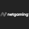 NetGaming