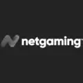 NetGaming